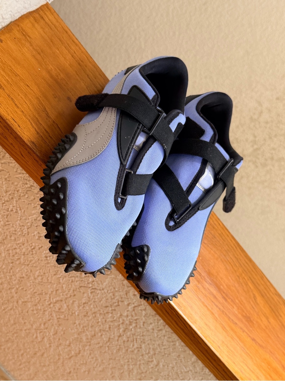 Puma mostro